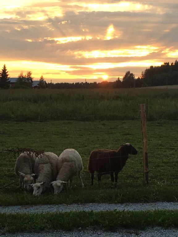 Lomatila Ollila Farm Stay Kerimaki Luaran gambar